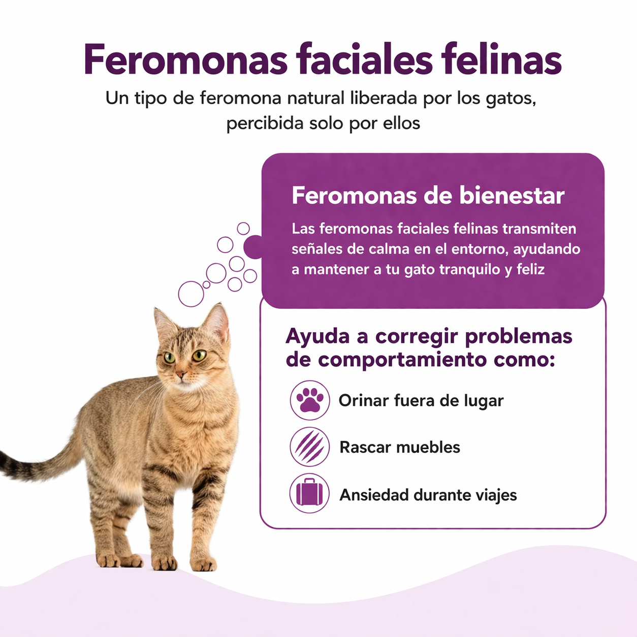 CalmaFelix™ – Elimina el estrés de tu gato y mejora su comportamiento en minutos