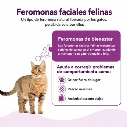 CalmaFelix™ – Elimina el estrés de tu gato y mejora su comportamiento en minutos